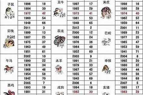 2005年属什么|2005年属什么生肖？